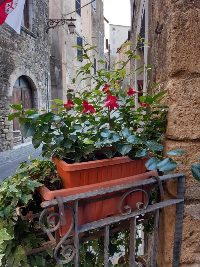 Historical Domus Apartman Anagni Kültér fotó